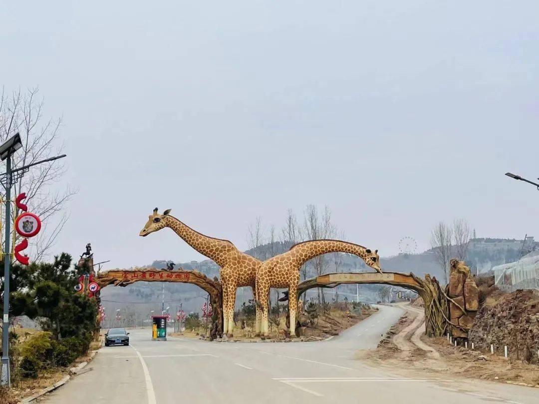 苍山宝山前野生动物园图片