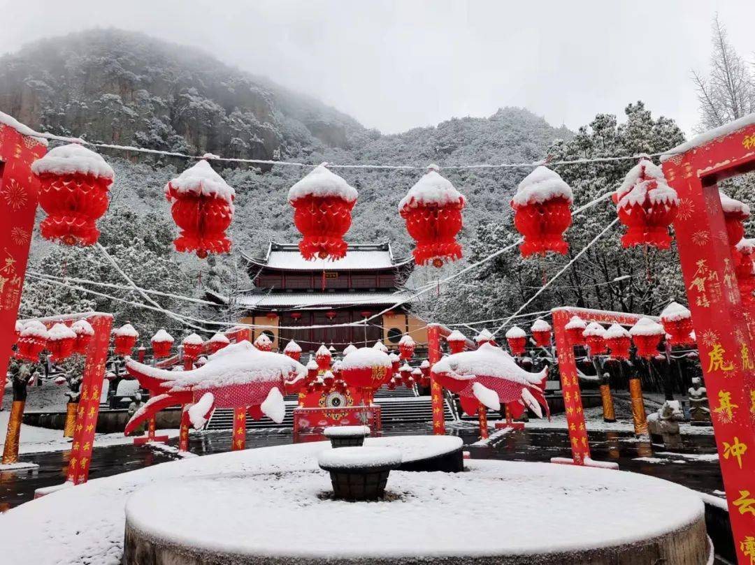 美爆了金华多地解锁雪景模式这才是过年该有的样子