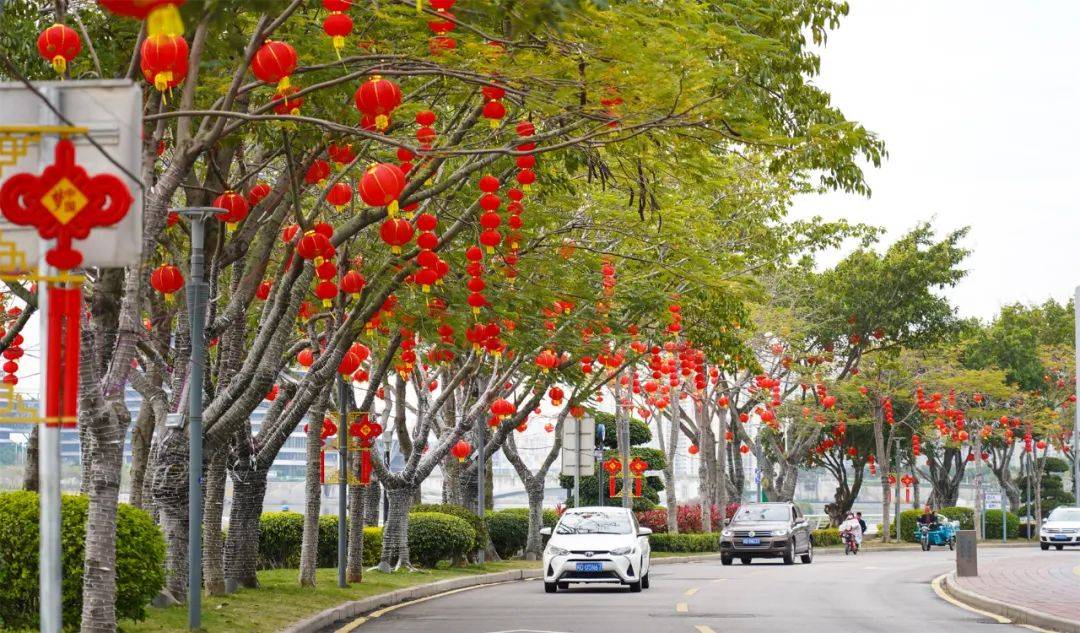 市民|厦门，红红火火迎虎年！