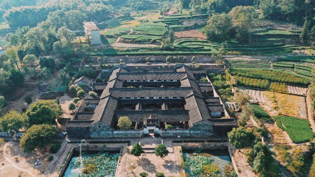 福见宁德游我来说福鼎市文体旅局局长有福鼎好