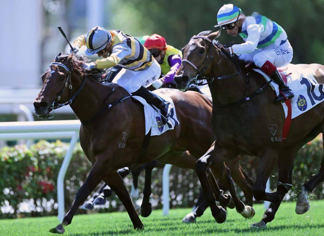 沙田赛事|新骑师嘉里一出即胜_直路_头马_竞骏