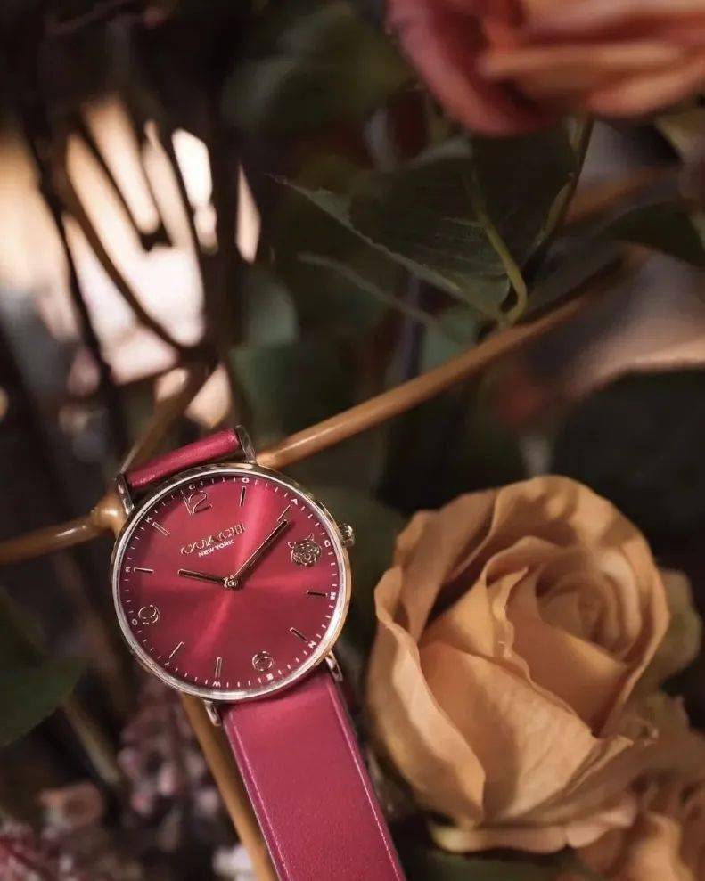 ����2.3�ۣ�������2022ޢ�ۡ������޶��ֱ���������������� ...