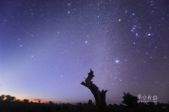 天文|星空有约|“三星高照，新年来到”，你知道是哪三颗星吗？