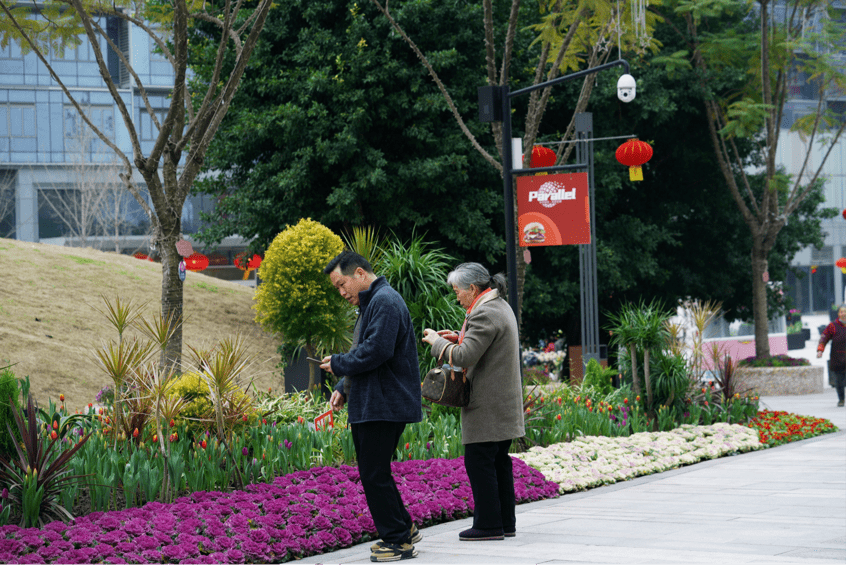 春节去丝路花街赏花