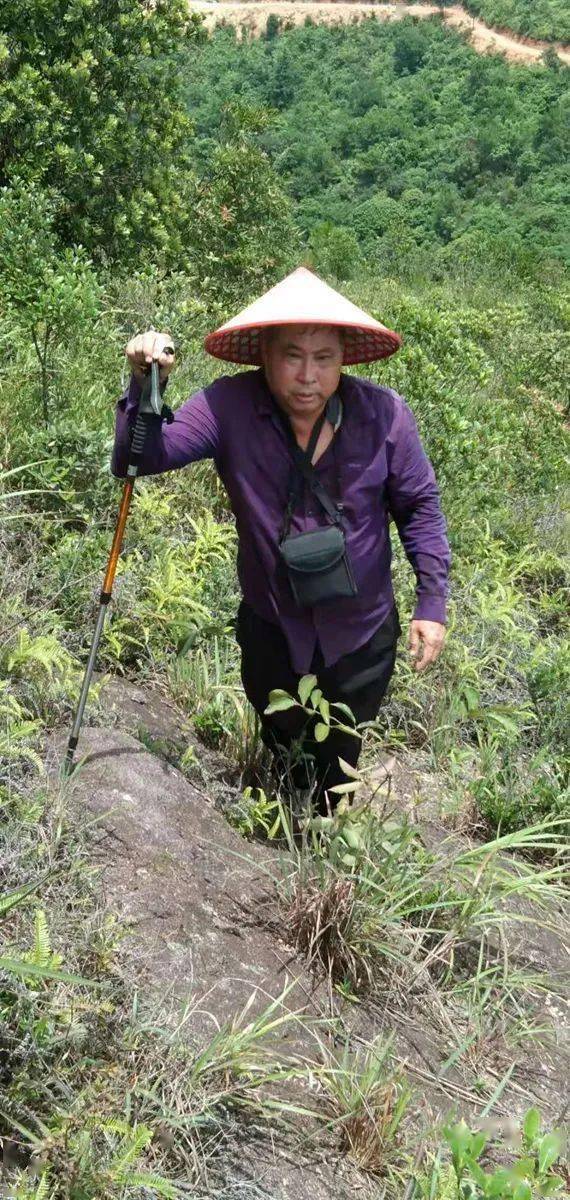 登山_五云洞_麻峰