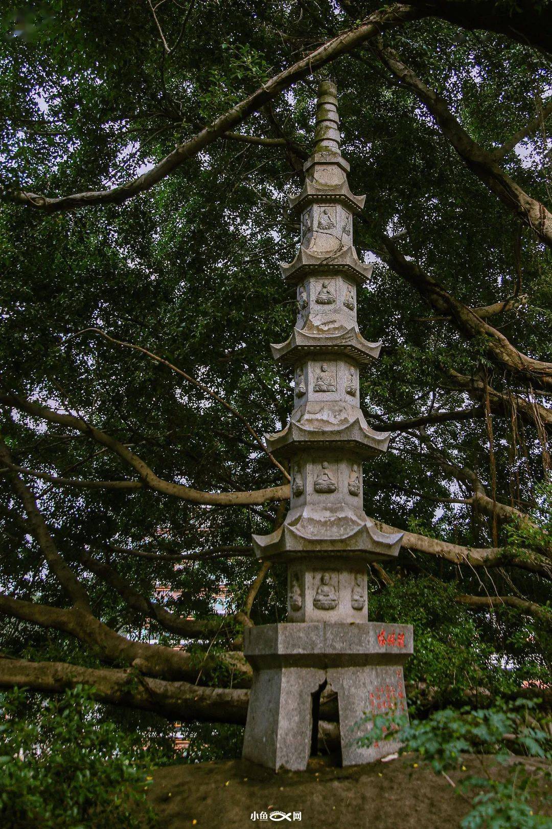 厦门|再冷下雨天，也挡不住厦门人拜拜！南普陀求平安、仙岳山求姻缘...春节祈福，厦门寺院哪家灵？