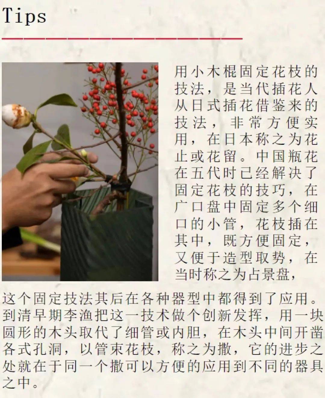 Cosmotude 新年五件套 你进行到哪一步了 插花 寓意 谐音