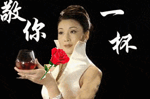 "为友谊干杯"女主上春晚_为友谊干杯表情包女主上春晚了_韩再芬_表演