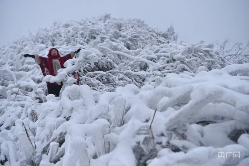 游客|贵州松桃：赏雪过大年