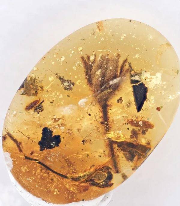 牛！山东这个团队