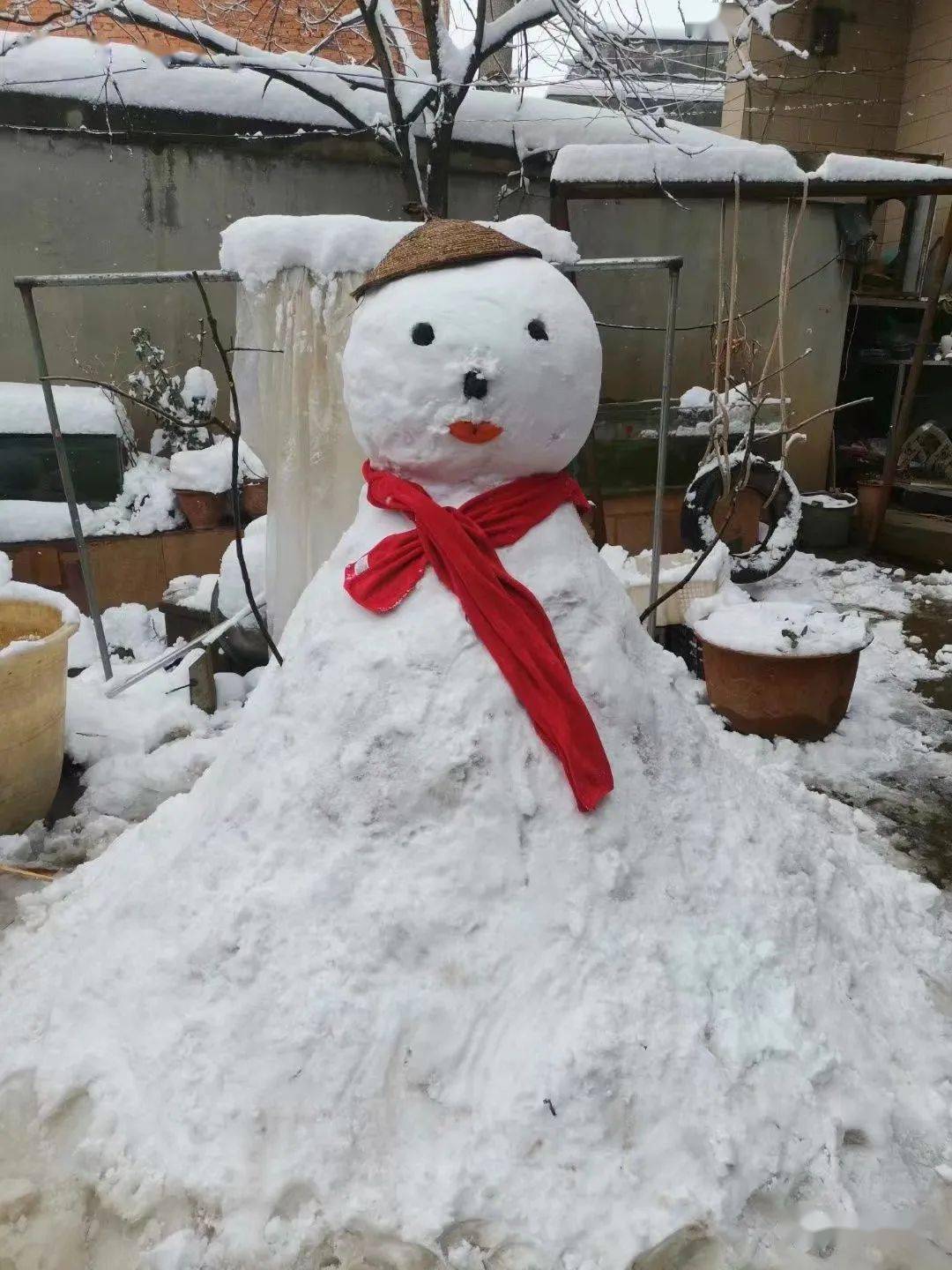 宣威迎来春节第一场雪