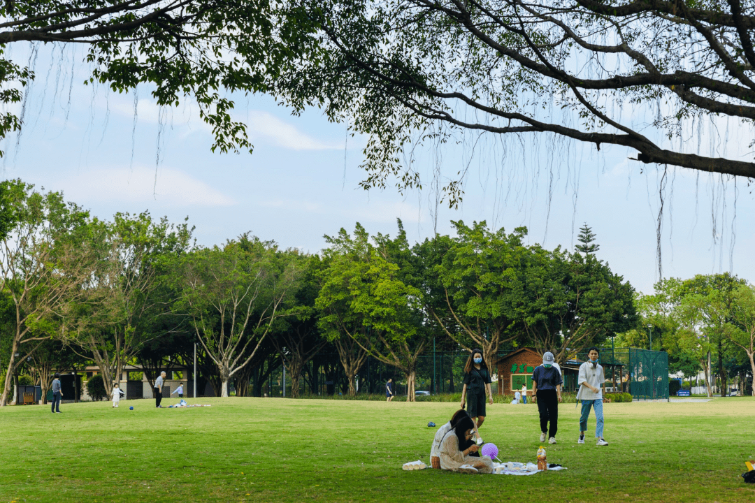 广州这些公园可搭帐篷可野餐约上家人朋友春节来点不一样的吧