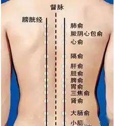 什么是寒湿？寒湿该怎么排？_搜狐网
