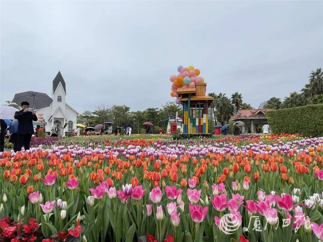 步道|今日立春，雨停了！快出门玩耍吧，攻略已备好→