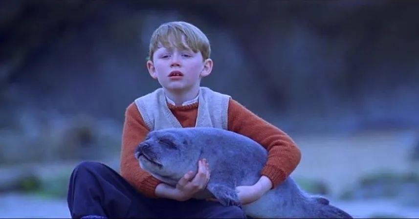 治愈|这种“好片”怎么能埋没？真影迷必看！