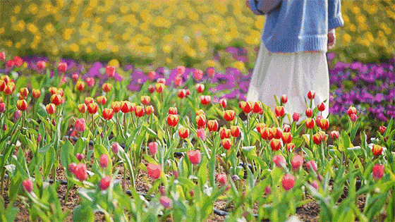 dingDior香水和口红，仙女bi备，闭眼买都不会错