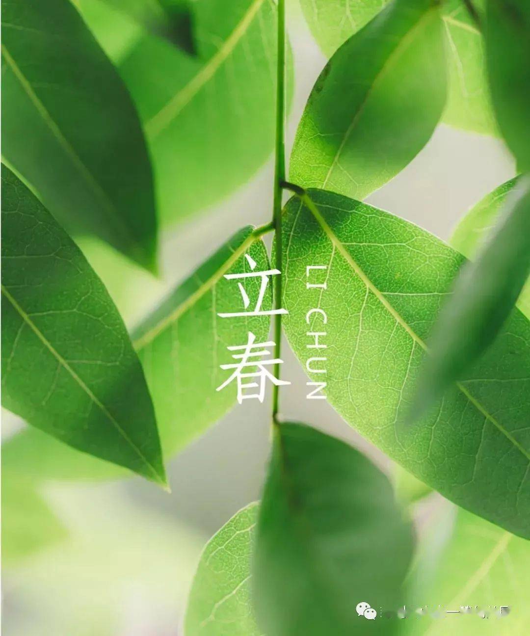—山水一鸣幼儿园二十四节气之立春