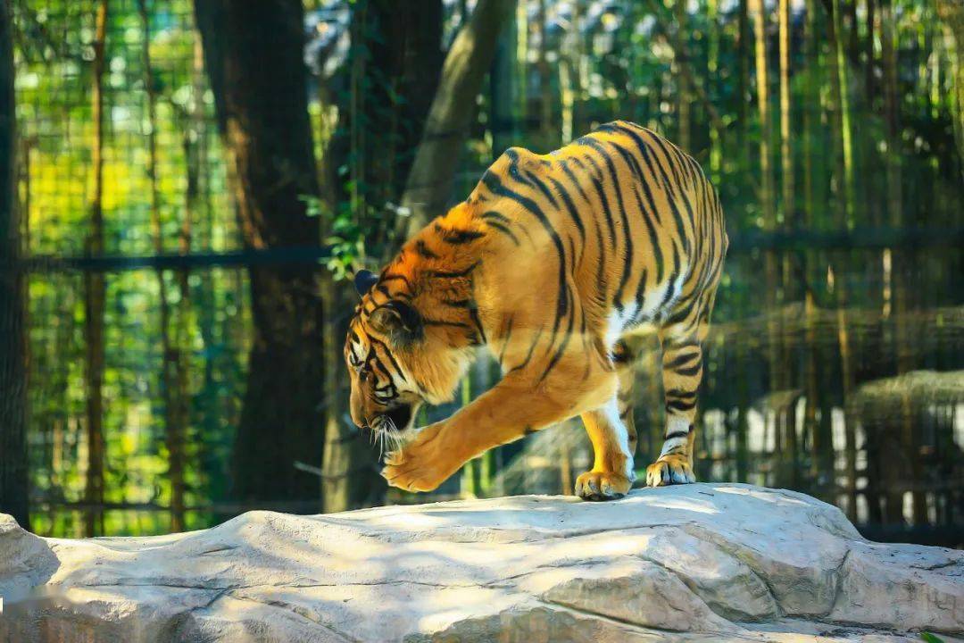 绍兴-宋自强四川-梁德四川绵阳-唐荣光四川绵阳-唐荣光西安-张海霞