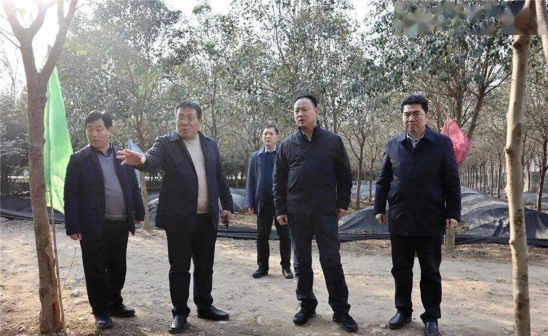 县委书记王景育调研乡村产业发展工作_堂街镇_姚庄回族乡_郏县