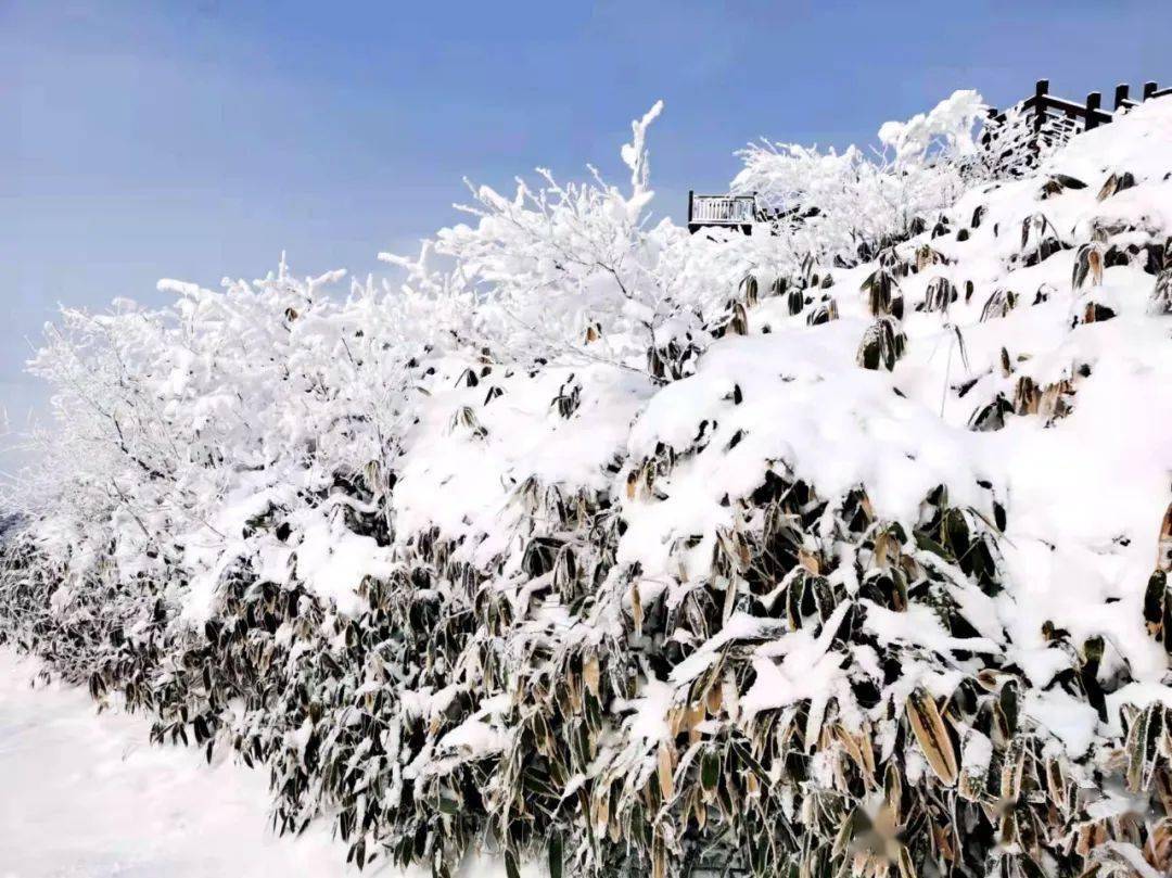 春節假期臨近尾聲八臺山冰雪旅遊持續火爆