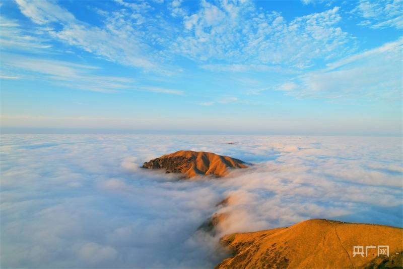 到来之际|年味浓 人气旺！武功山景区喜迎开门红