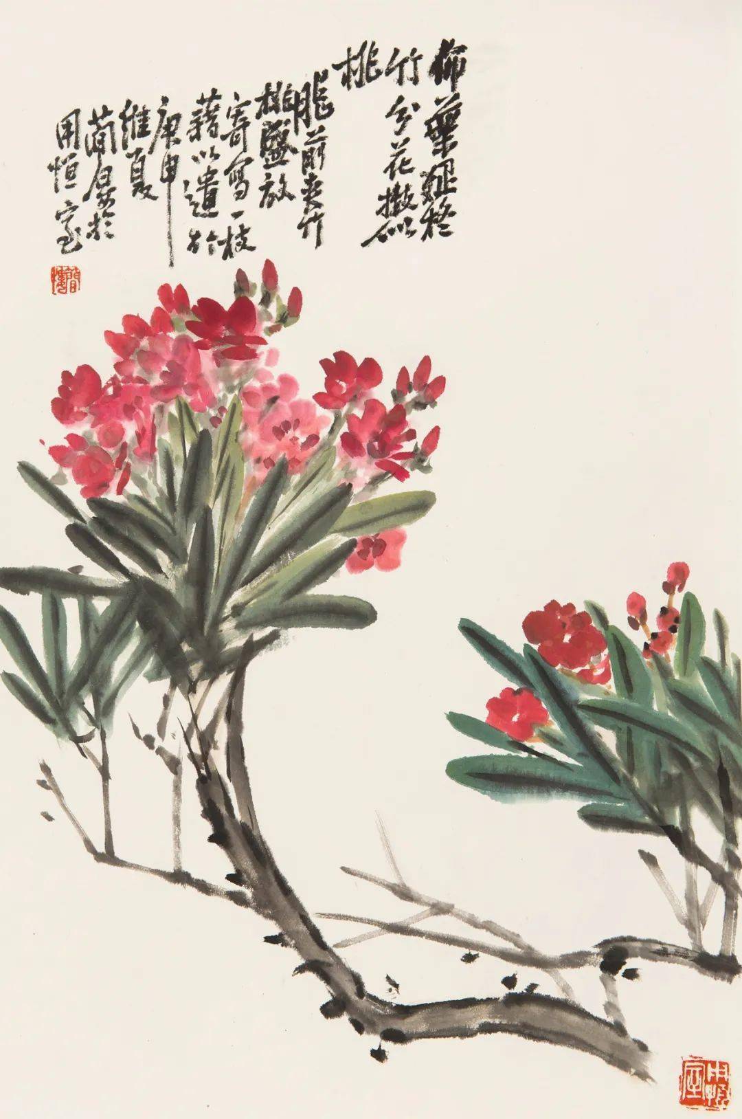 像仙客来,曼陀罗,剑麻花,榆钱花等没有人画过的品类,也都在曹公笔下