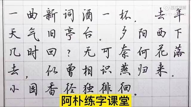 阿朴书法作品图片