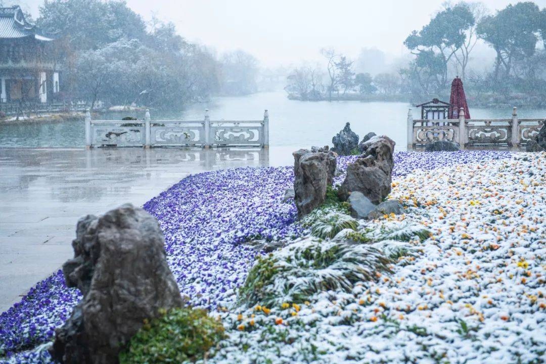 眼睛|美了！美了！扬州人盼了一周的大雪，终于到货！将持续至……