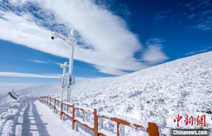 贵州|雪落“贵州屋脊”韭菜坪 宛如冰雪童话世界