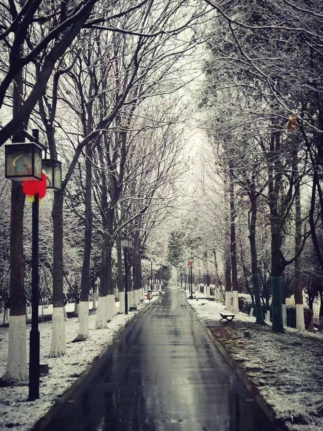 淮安下雪图片