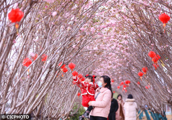 何红|湖南道县：乐享春节假日