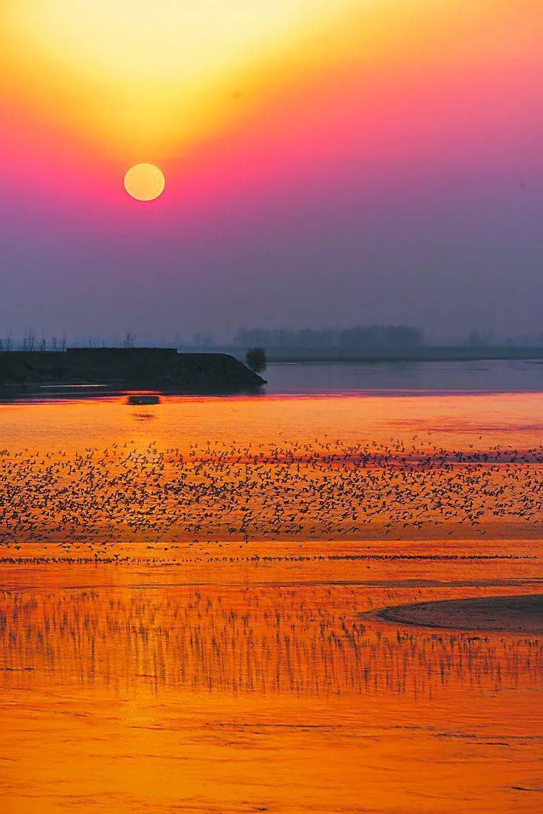 夕阳下的黄河东明长兴集段 杨文豪 摄讲文明树新风公益广告菏泽返回