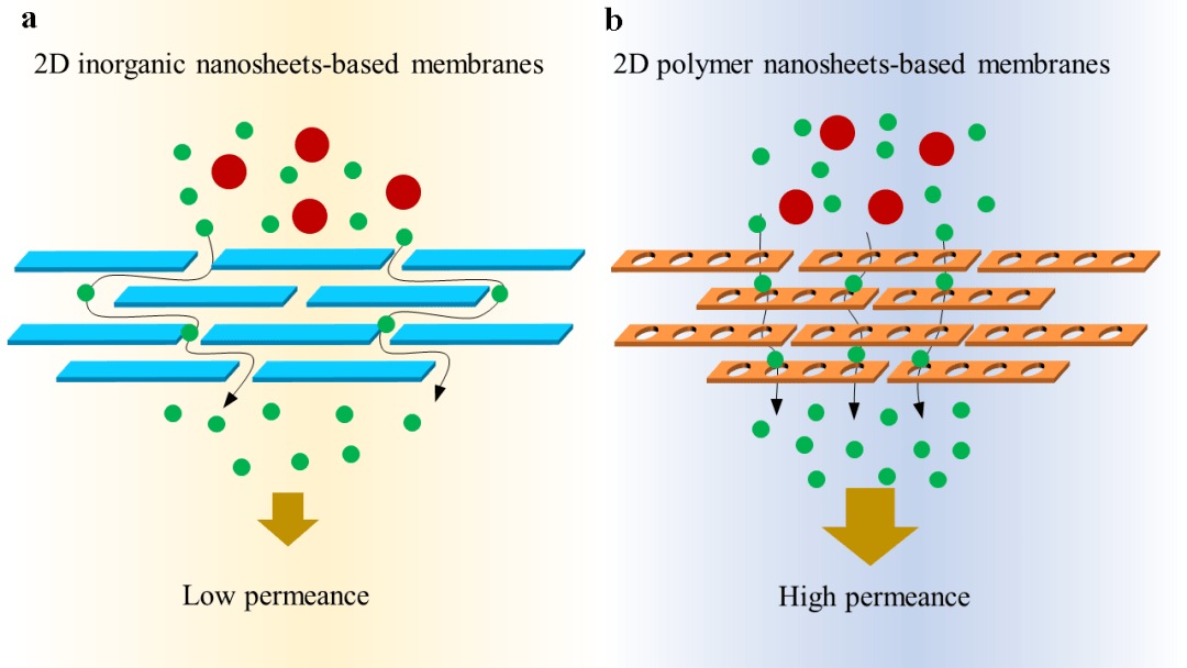 西湖大学徐宇曦团队advancedscience综述二维聚合物纳米片应用于膜