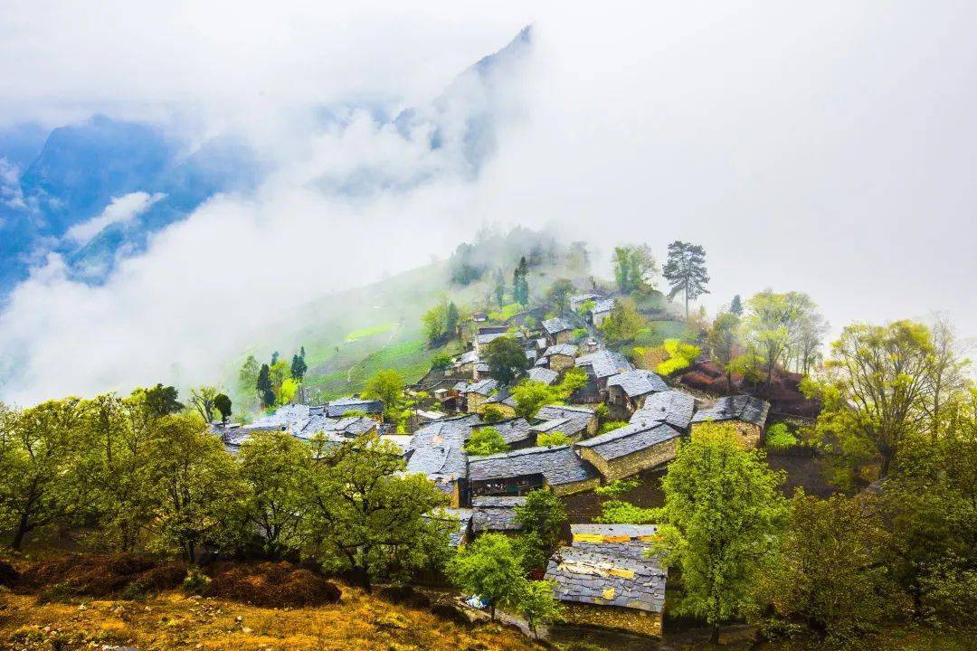 春節期間,20多萬人來石棉耍_景區_旅遊資源_王崗坪