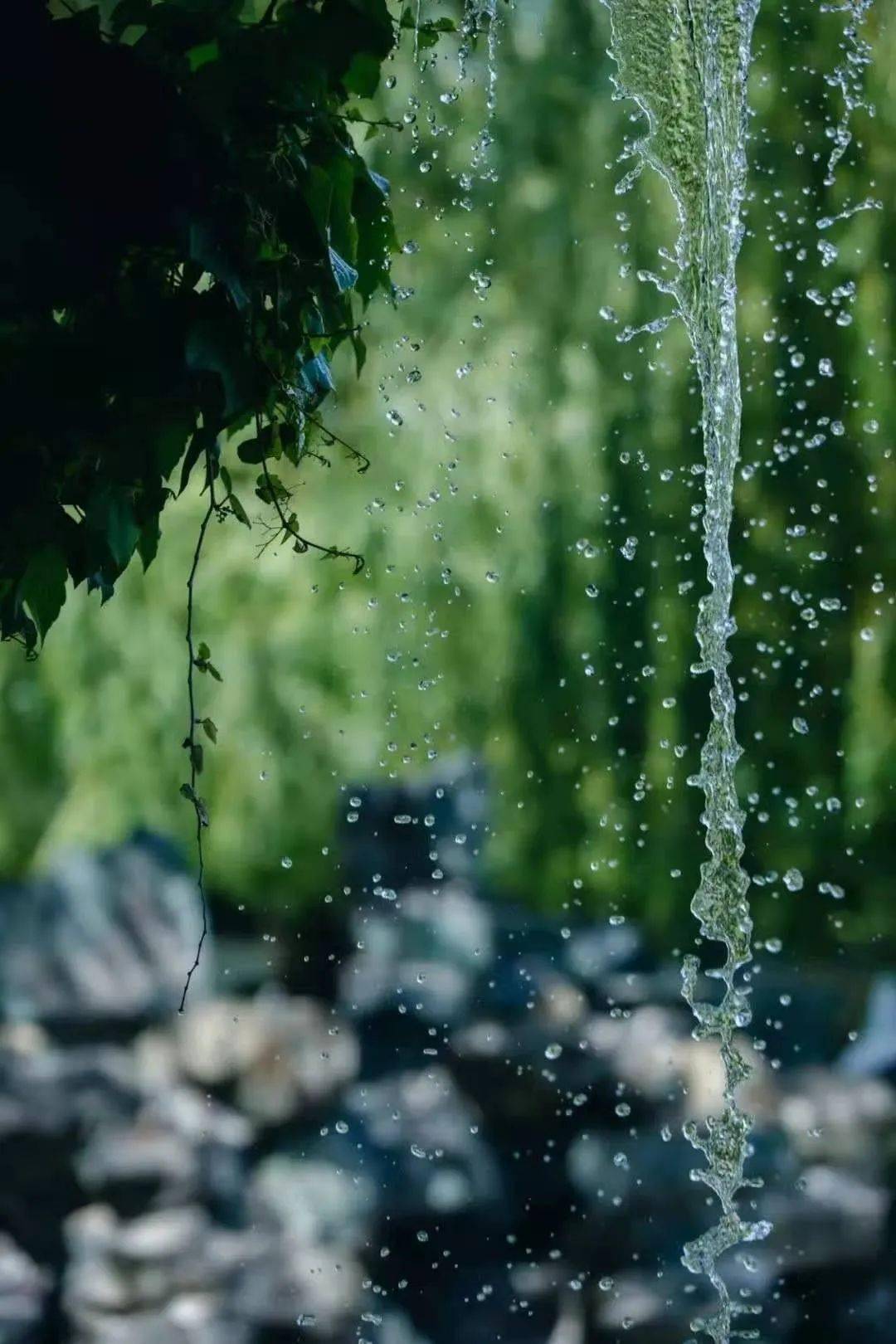 山上美好句子 5ea419e6596a472b9ef074999fa54b12.jpeg