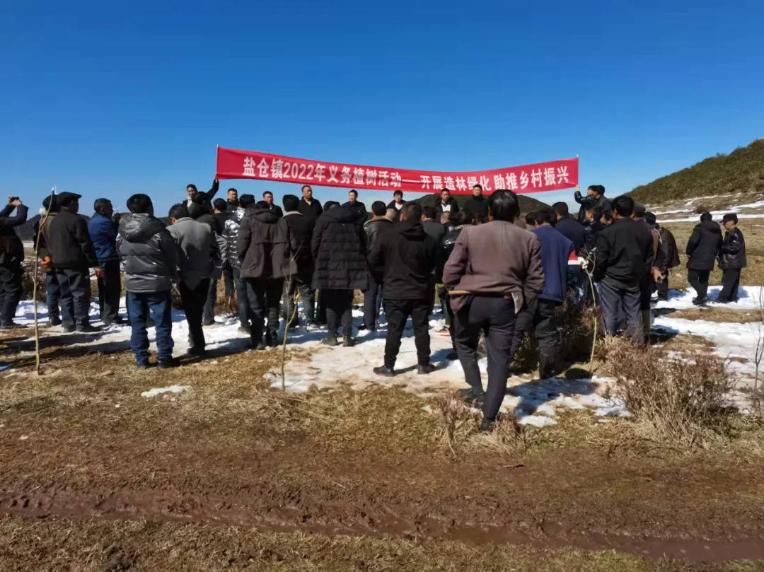 威宁各乡镇(街道)开展义务植树活动_岔河镇_叶启伟_综合