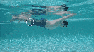 a7fd16945386492cbccdb0569be69cc0.gif