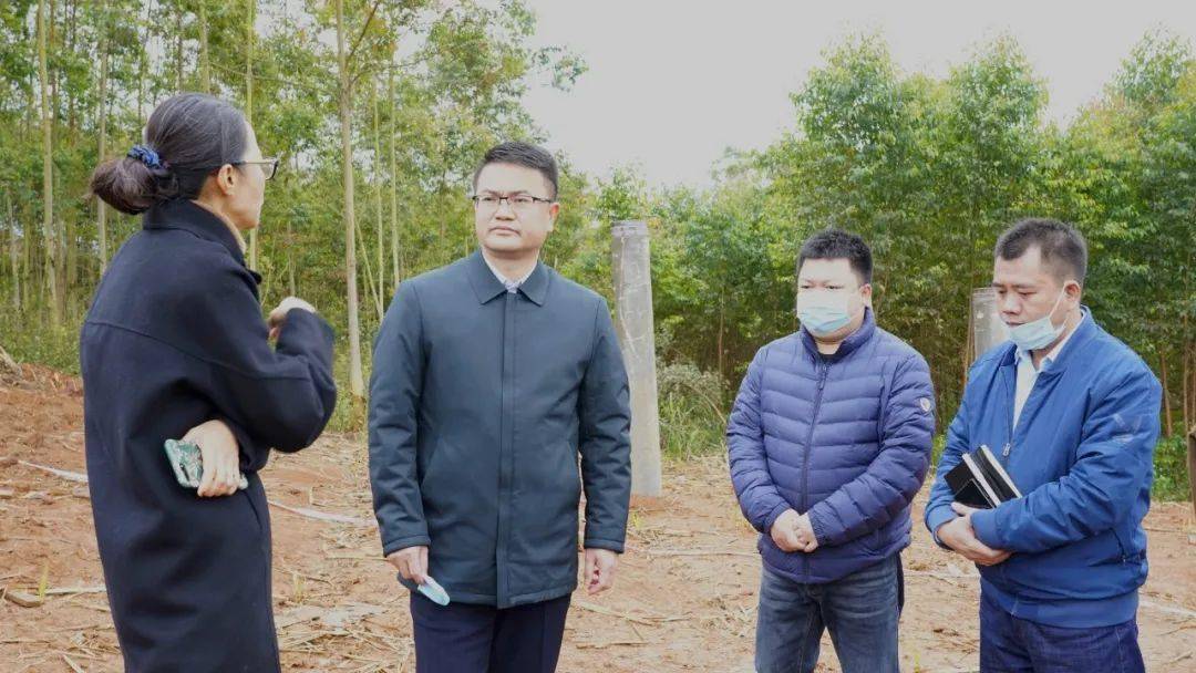 67梁金昌到罗白江州调研指导光伏项目建设