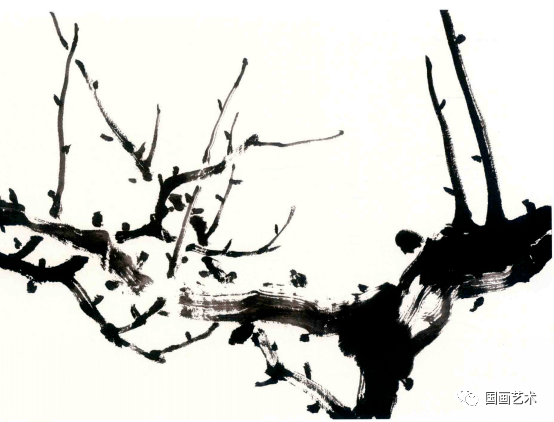 梅花树干的各种画法图片