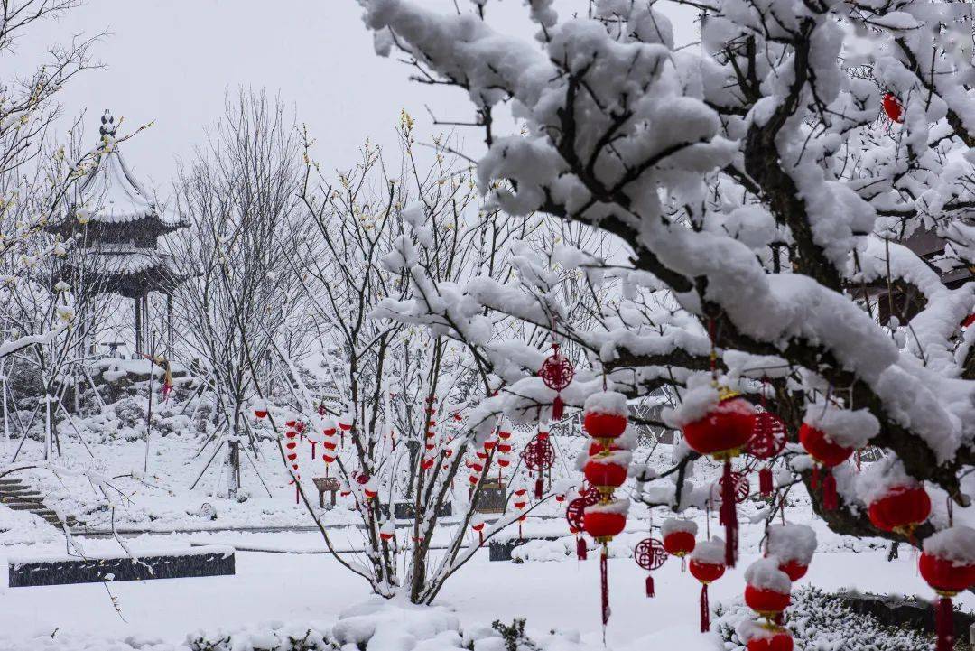 传说中的那场雪来了这就是雪中的南京