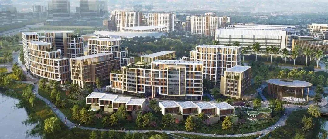 “虎”力全开!南沙今年超90个项目被列为重点,涉及交通、医疗、教育、旧改等!_建设_广州市_综合