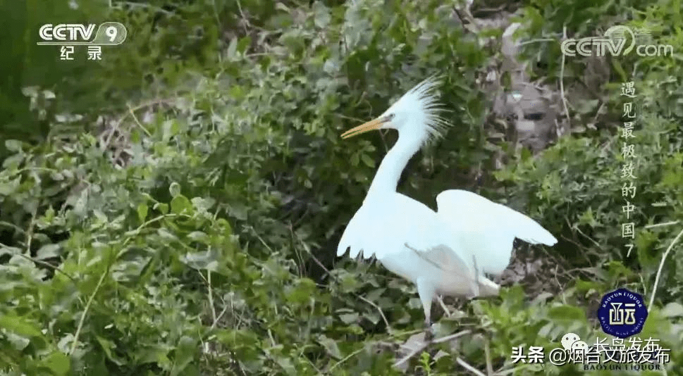 中国|梦幻山海，遇见最极致的长岛