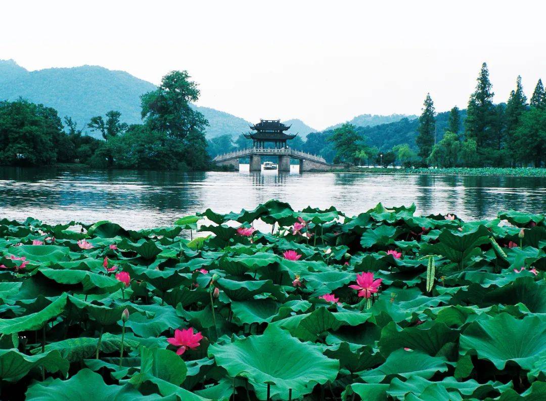 人民的公園杭州西湖世界文化遺產保護管理的實踐