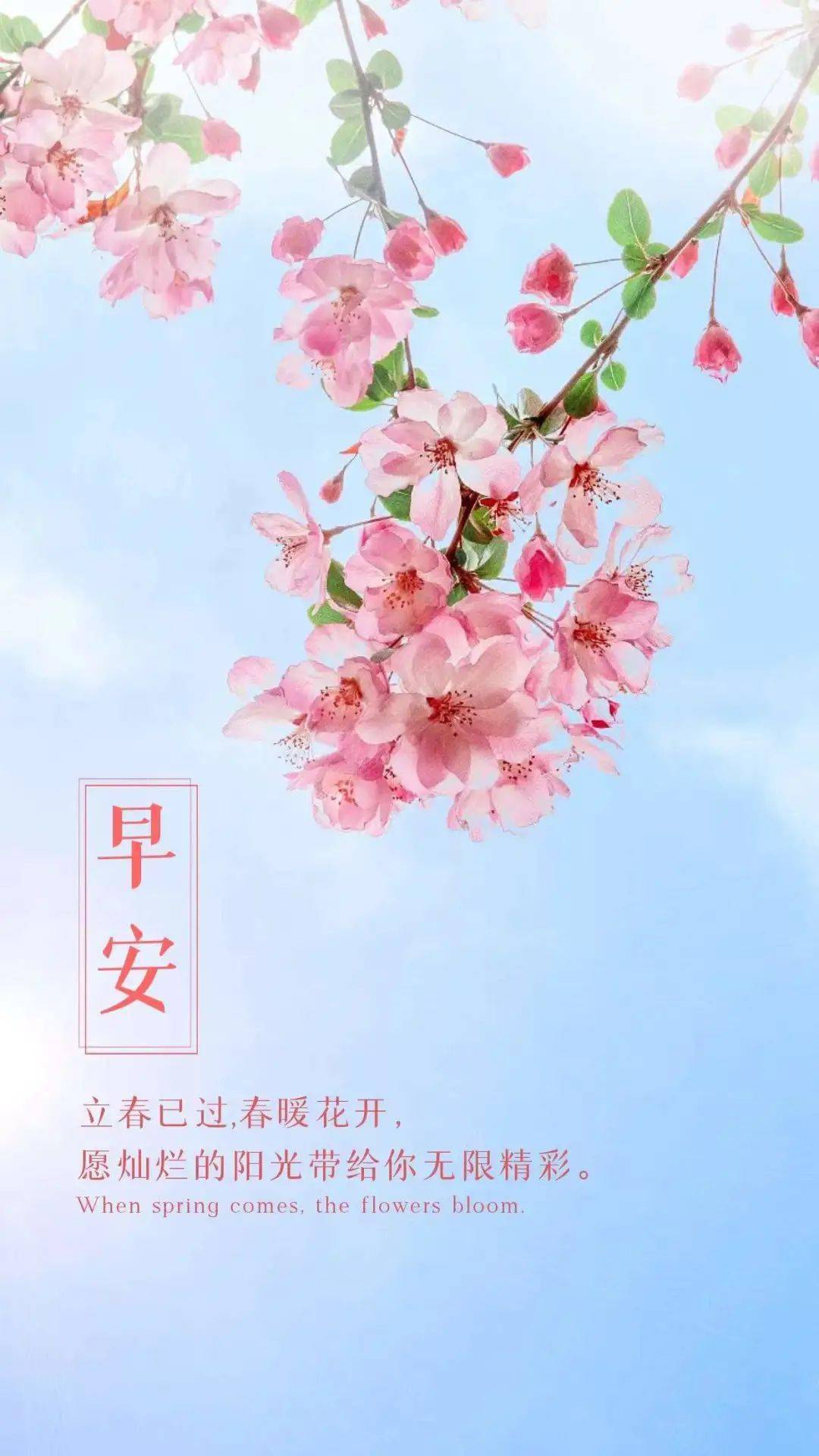 致 独一无二的你正月初九2022年2月星期三9一篇短文,一段美句,一阕