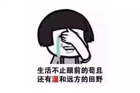 74d47653c4d84a8f9e045226aa0bad42.jpeg
