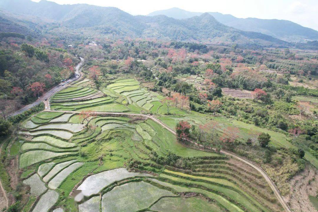 昌江宝山梯田图片