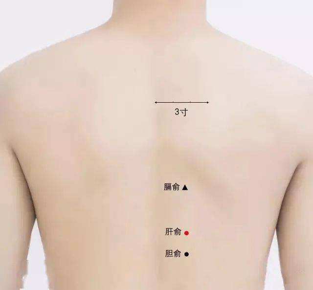 什么动作能疏通三焦 83b29746ea1f4bb5ac54cec86aa8730d.jpeg