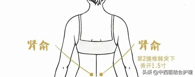 腰椎艾灸哪个位置图片图片
