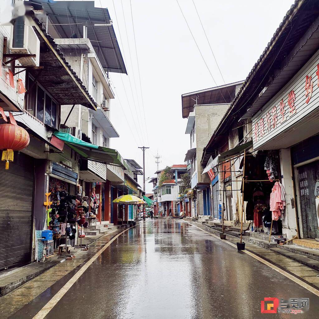 何市镇聚力四个转变办好民生实事