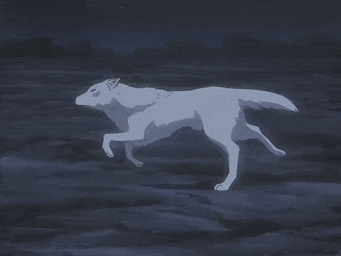 南雅|這部以狼為主角的動畫，也許是骨頭社最被低估的冷門佳作